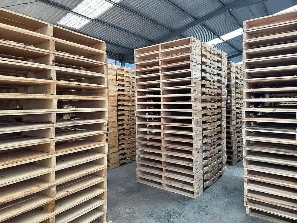 Stacks of wooden pallets are arranged in rows inside a warehouse with a corrugated metal roof and concrete floor, showcasing the efficient storage solutions provided by this leading Pallet Company in Surrey.