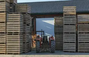 A tractor is parked between tall stacks of wooden crates and heat-treated pallets outside a building with a tiled roof.